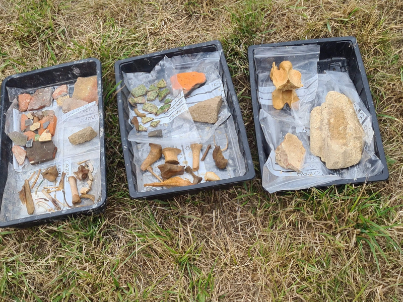 20250727_Finds-trays-Cerne-Abbey-dig-scaled