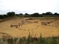 Ham-Hill-Excavations-2013