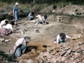 From the Clynick Collection (1980's) - Lufton Dig - 14