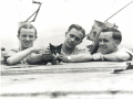 PDSA-Simon-the-cat-reduced-scaled