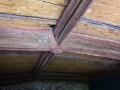 Painted-Room-Castle-Cary-2024-3-scaled